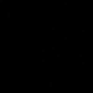 Meet your Posher, Riley